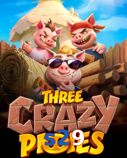 s29
